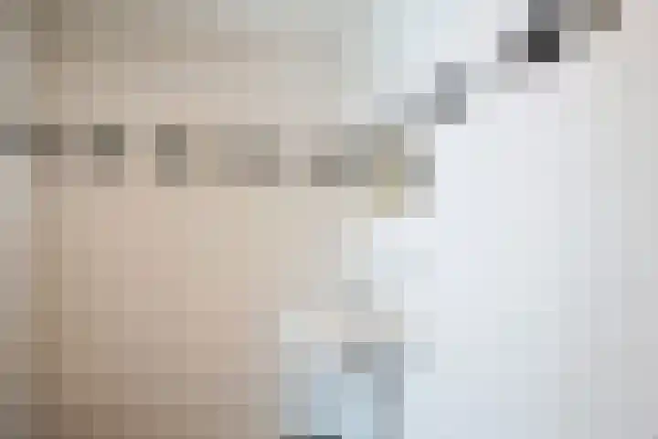 Ereprijs 1 Sittard thumbnail 18
