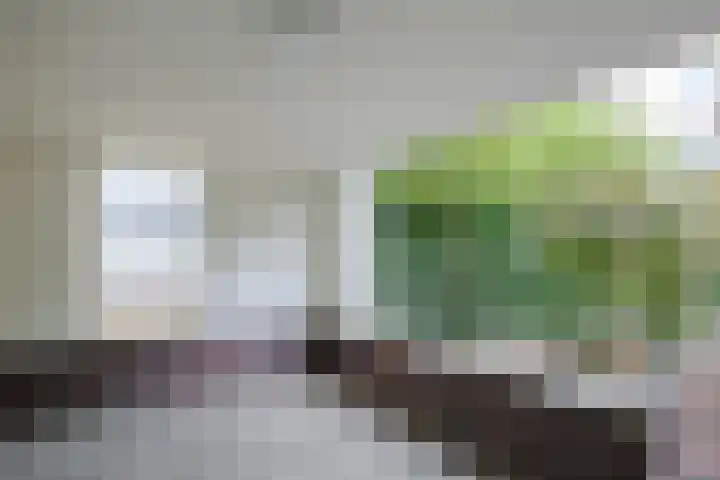 Ereprijs 1 Sittard thumbnail 19