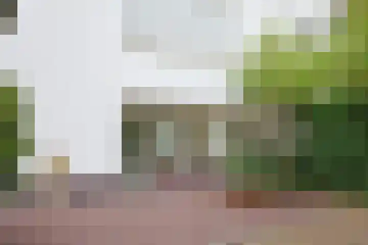 Ereprijs 1 Sittard thumbnail 20