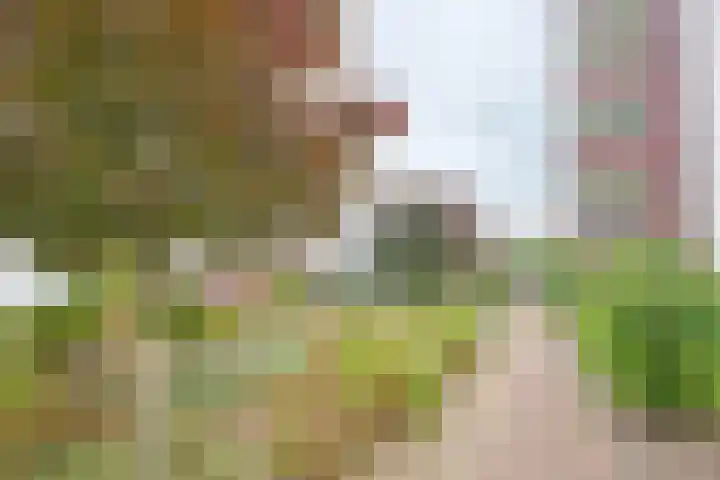 Ereprijs 1 Sittard thumbnail 21