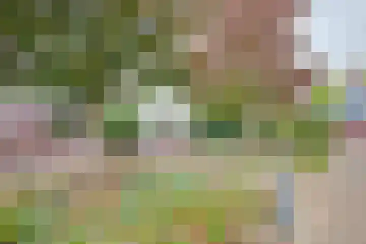 Ereprijs 1 Sittard thumbnail 22