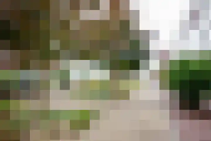 Ereprijs 1 Sittard thumbnail 23
