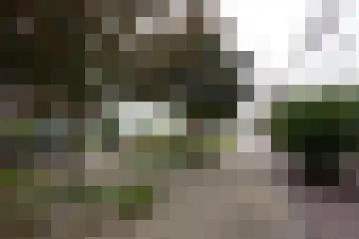 Ereprijs 1 Sittard thumbnail 24