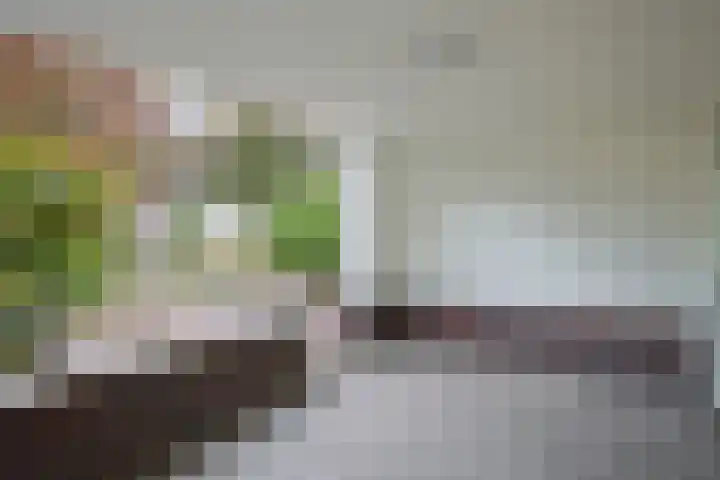 Ereprijs 1 Sittard foto 3