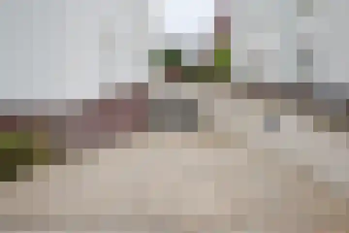 Ereprijs 1 Sittard thumbnail 32