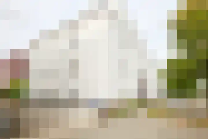 Ereprijs 1 Sittard thumbnail 6