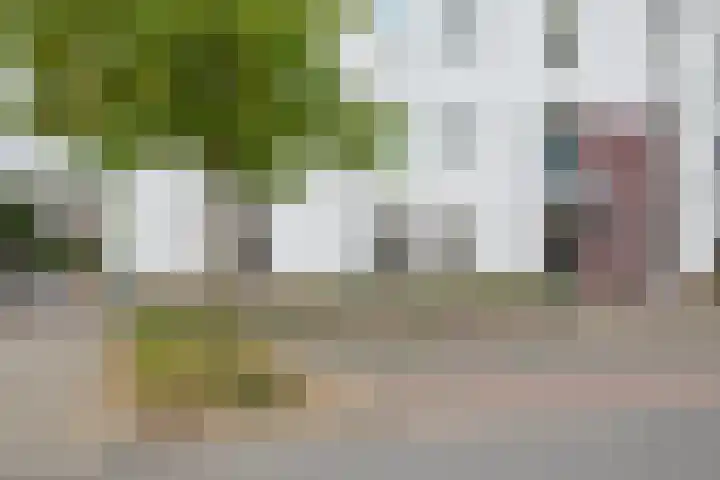 Ereprijs 1 Sittard thumbnail 7