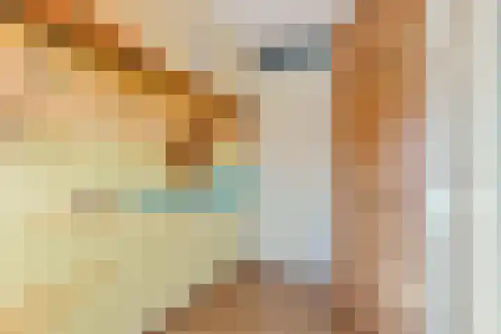 Ereprijs 18 Tiel thumbnail 18