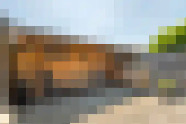 Ereprijs 18 Tiel thumbnail 23