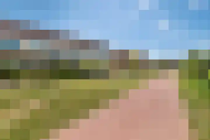 Ereprijs 18 Tiel thumbnail 28
