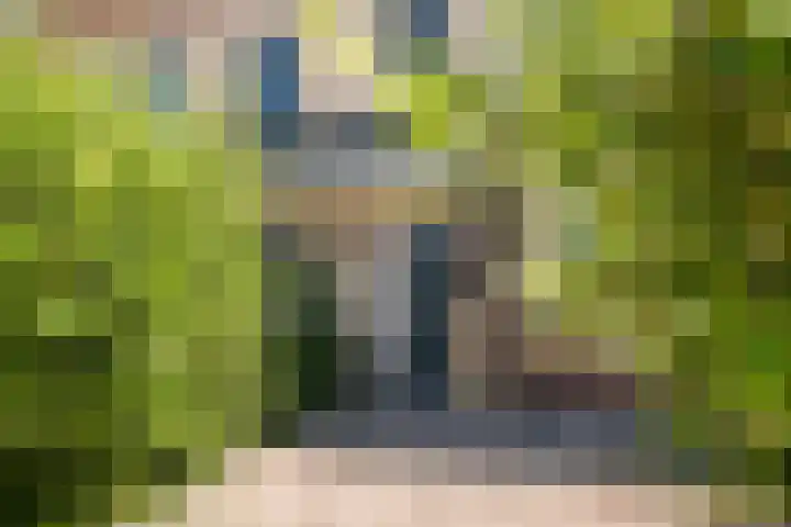 Ereprijs 18 Tiel thumbnail 4