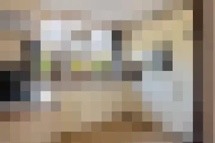 Ereprijs 18 Tiel thumbnail 9