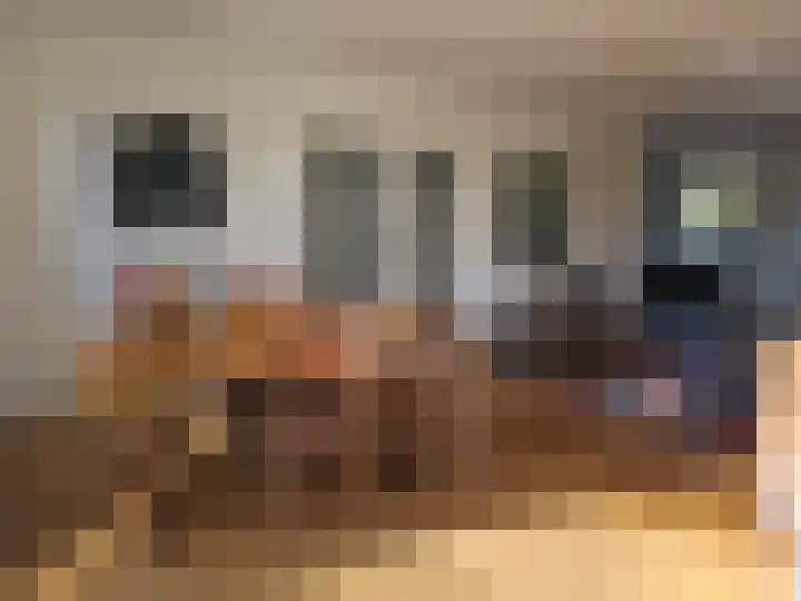 Ereprijs 29 Culemborg foto 3