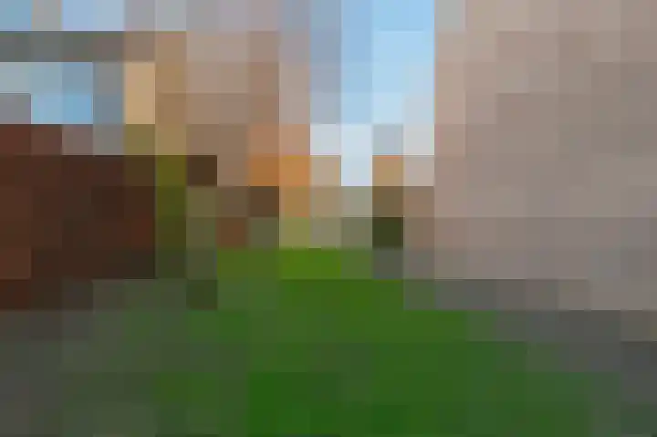 Ereprijs 29 Culemborg thumbnail 35