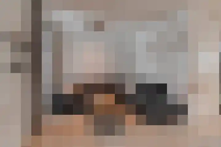 Ereprijs 29 Culemborg thumbnail 4