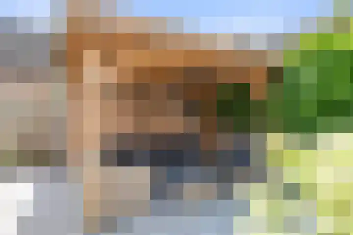 Ereprijs 45 Bennekom thumbnail 13