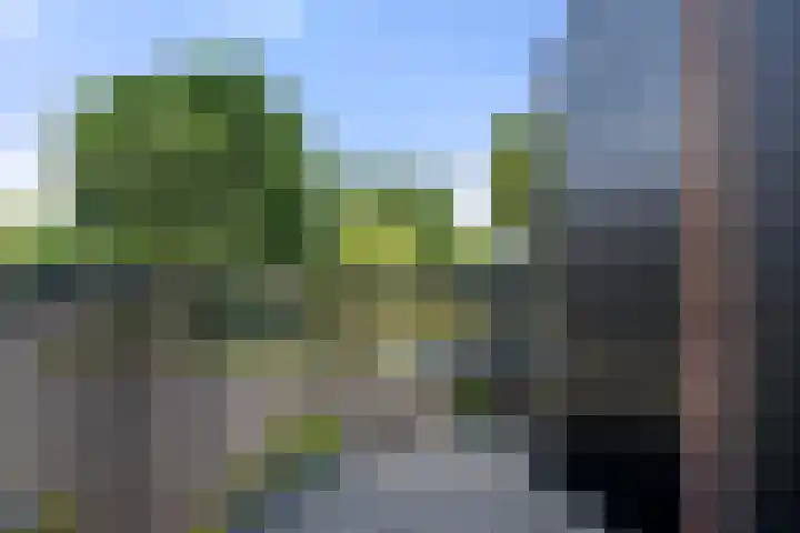Ereprijs 45 Bennekom thumbnail 30