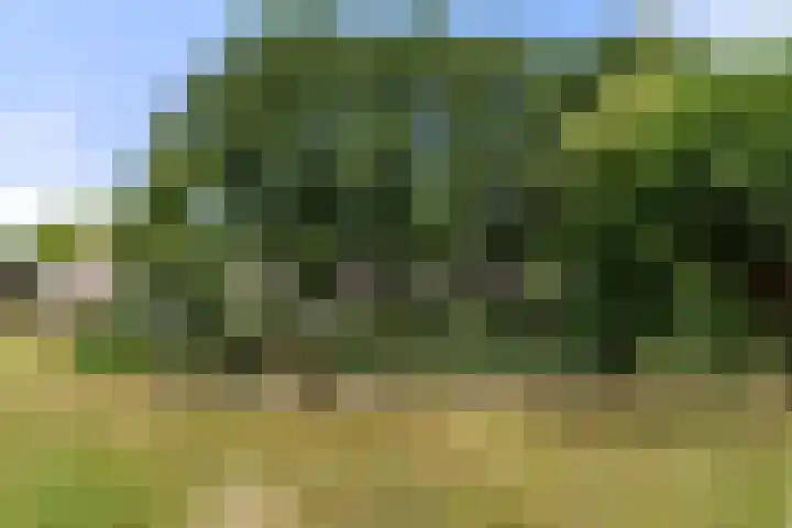 Ereprijs 45 Bennekom thumbnail 5