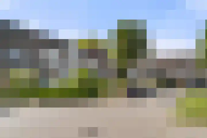 Ereprijs 45 Bennekom thumbnail 6