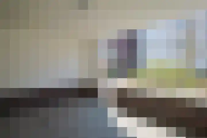 Ereprijs 5 Sittard thumbnail 4