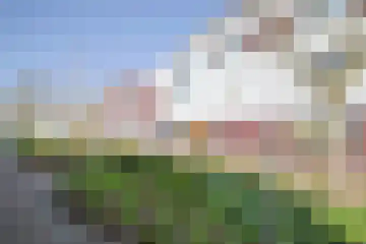 Ereprijs 5 Sittard thumbnail 5