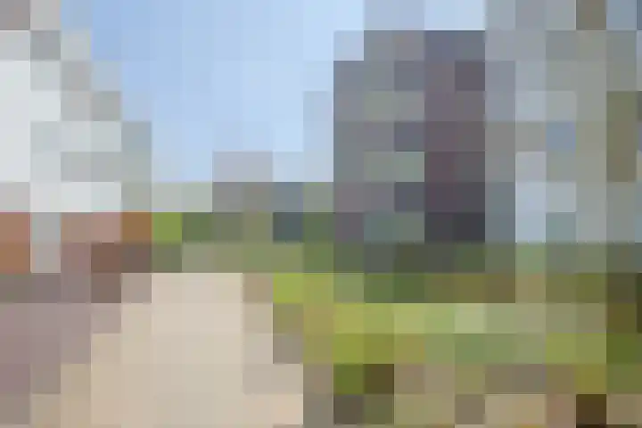 Ereprijs 5 Sittard thumbnail 6