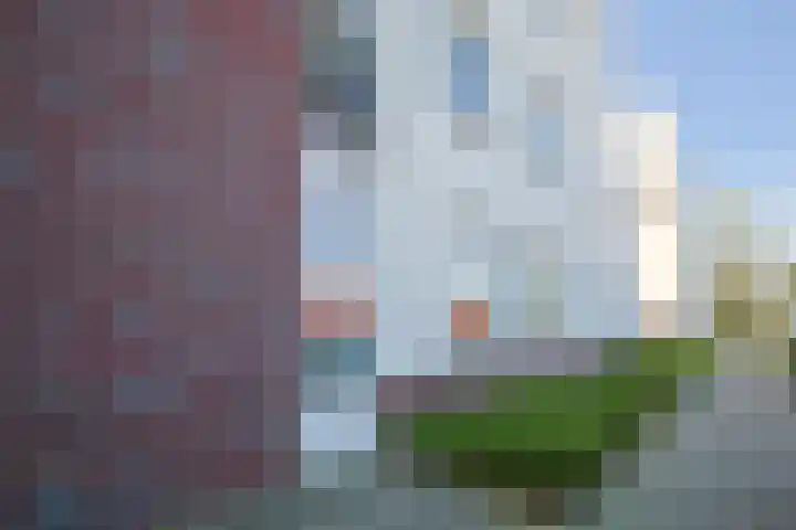 Ereprijs 5 Sittard thumbnail 8