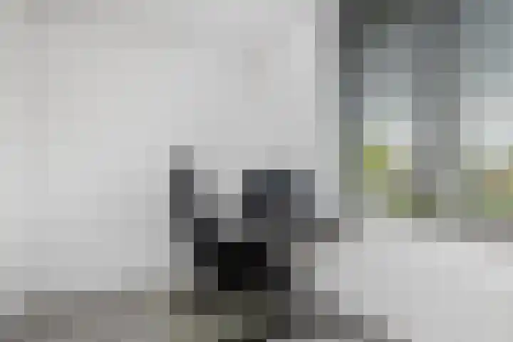Ereprijs 53 Sittard thumbnail 18