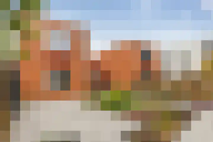 Ereprijs 53 Sittard thumbnail 25