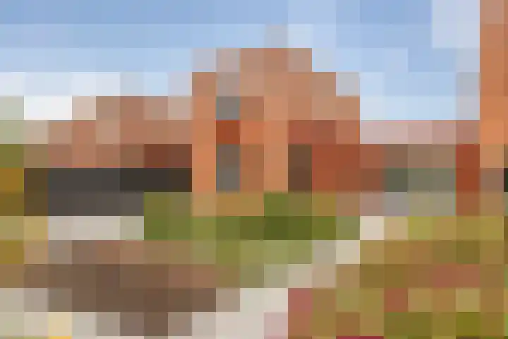 Ereprijs 53 Sittard thumbnail 26