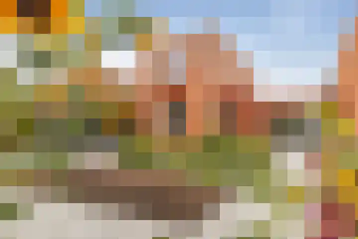 Ereprijs 53 Sittard thumbnail 27