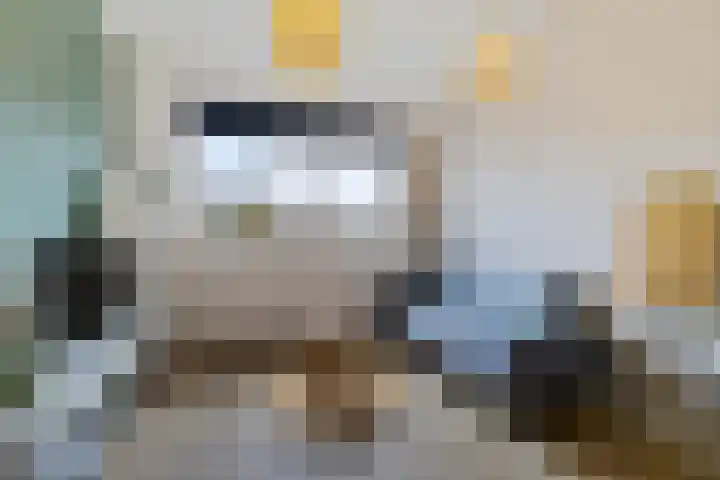 Ereprijs 6 Heerenveen thumbnail 31