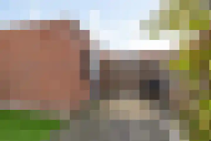 Ereprijs 6 Heerenveen thumbnail 38