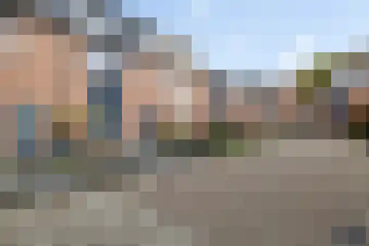 Ereprijs 6 Heerenveen thumbnail 4
