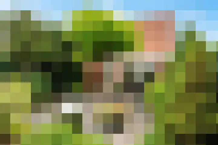 Ereprijs 9 Landgraaf thumbnail 17