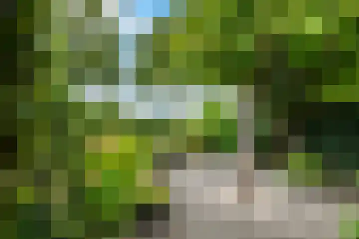 Ereprijs 9 Landgraaf thumbnail 18