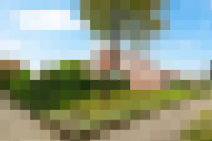 Ereprijs 9 Landgraaf thumbnail 22
