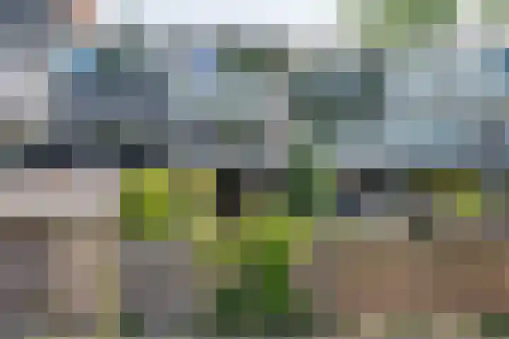 Ereprijsstraat 111 Soest thumbnail 29