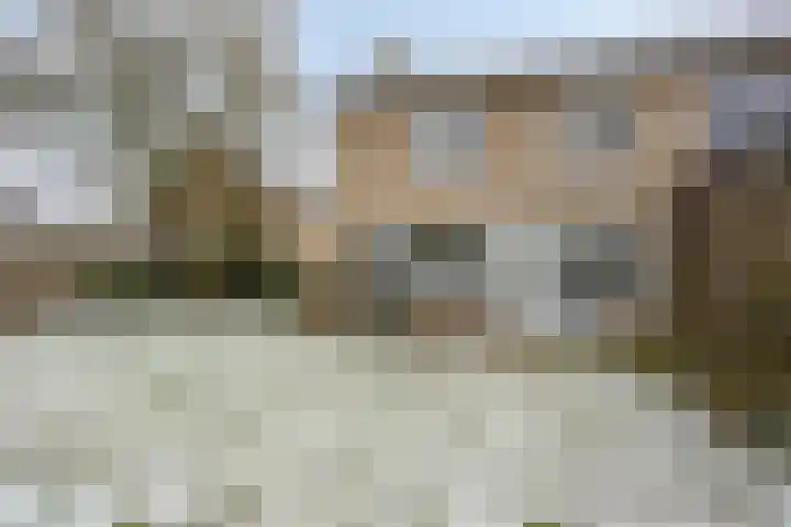 Ereprijsstraat 12 Assen thumbnail 14