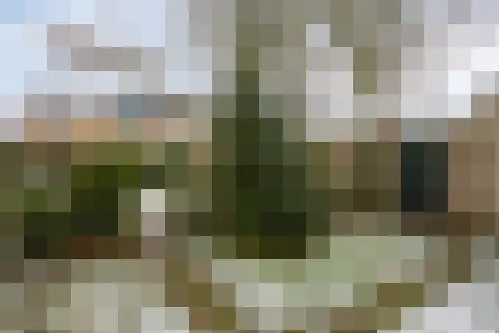 Ereprijsstraat 12 Assen thumbnail 17