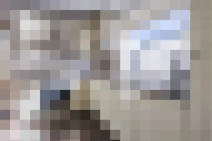 Ereprijsstraat 38 Uden thumbnail 19