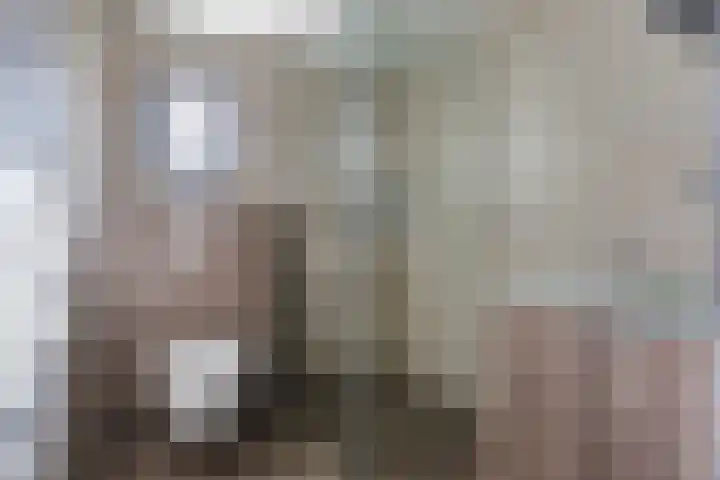 Ereprijsstraat 38 Uden thumbnail 31
