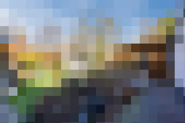 Ereprijsstraat 38 Uden thumbnail 43