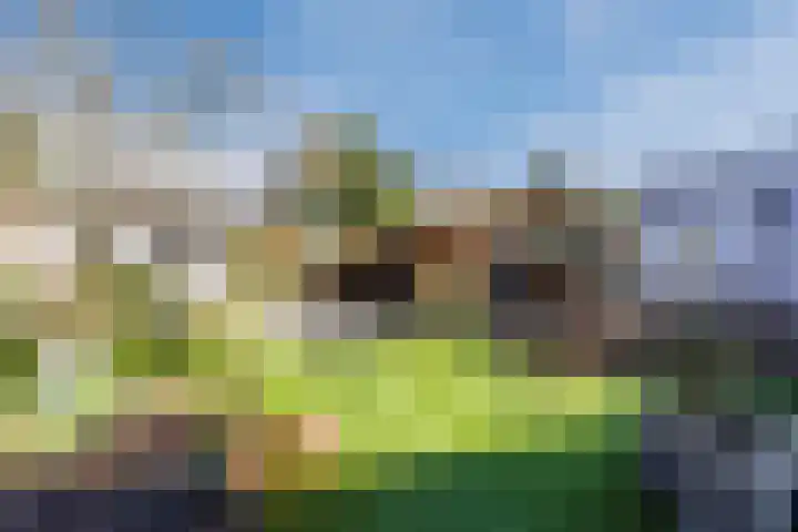 Ereprijsstraat 38 Uden thumbnail 44