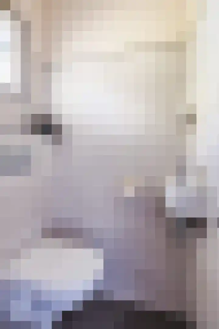 Ereprijsstraat 38 Uden thumbnail 7