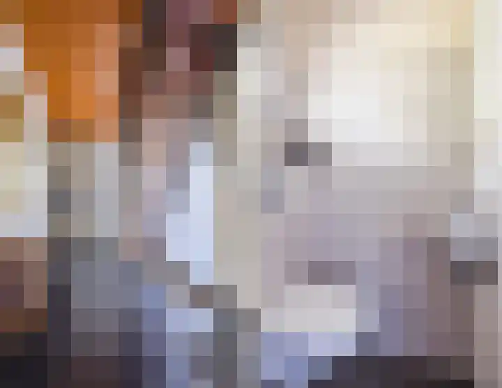 Ereprijsstraat 38 Uden thumbnail 8