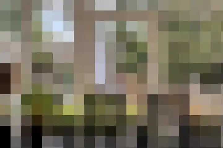 Ereprijsstraat 48 Uden thumbnail 20