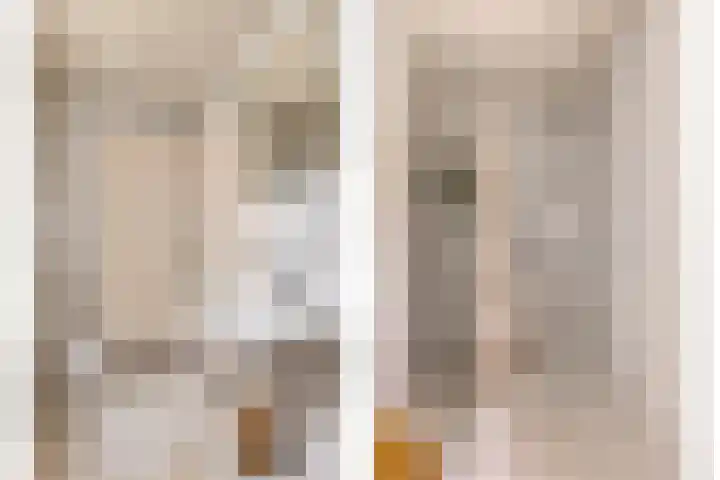 Ereprijsstraat 48 Uden thumbnail 31