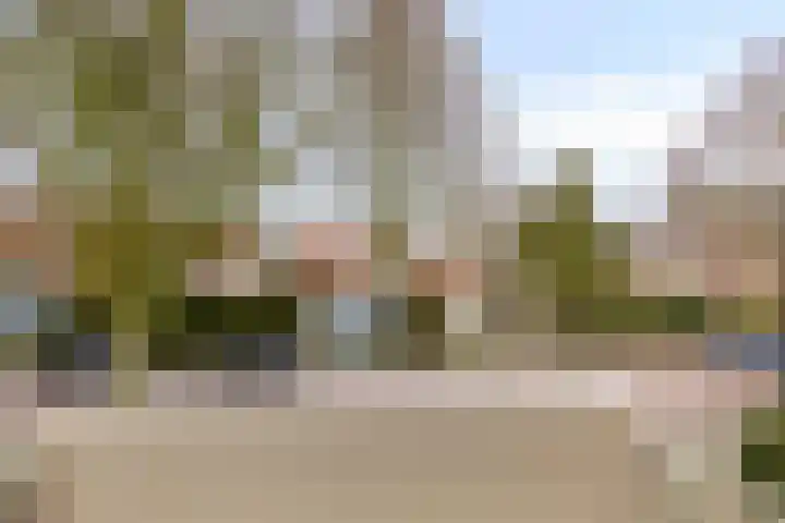 Ereprijsstraat 48 Uden thumbnail 35