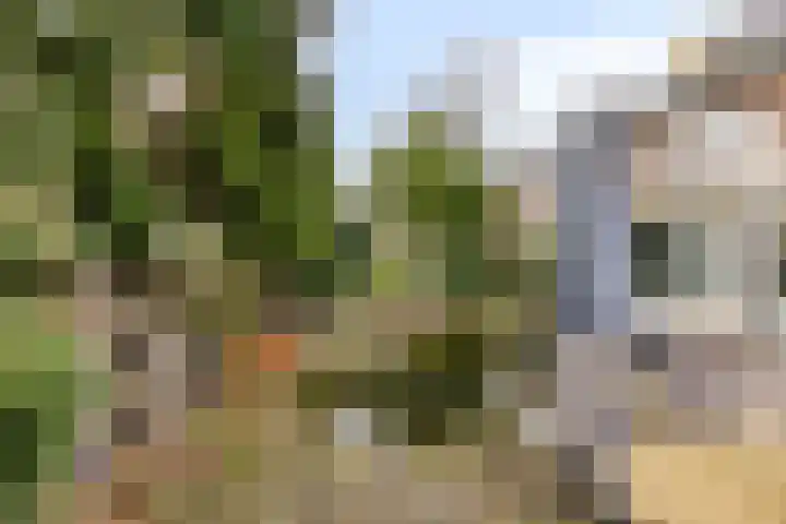 Ereprijsstraat 48 Uden thumbnail 43